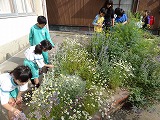 f0167635_6251649.jpg