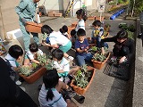 f0167635_6254597.jpg