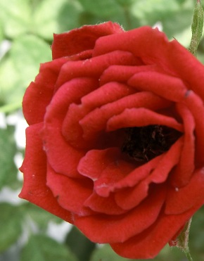 f0237037_13371073.jpg