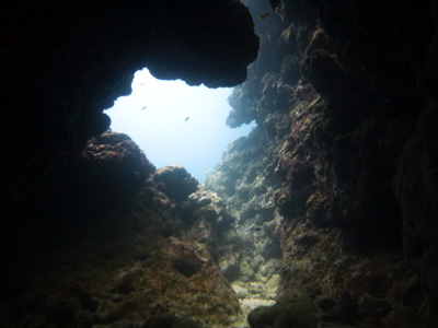f0014842_19232227.jpg