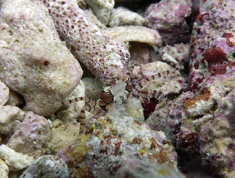 f0014842_19251337.jpg