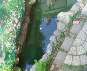 c0124646_1332290.jpg