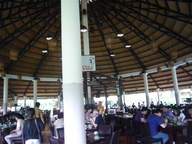 e0206847_118334.jpg