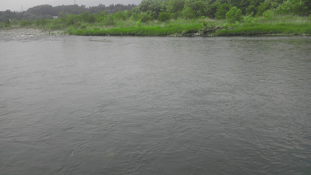 e0272349_833510.jpg