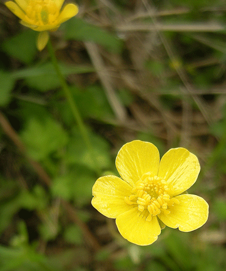 a0001354_22312041.gif