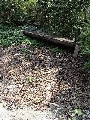 f0168256_137429.jpg