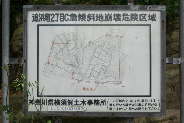 c0080357_22193078.jpg