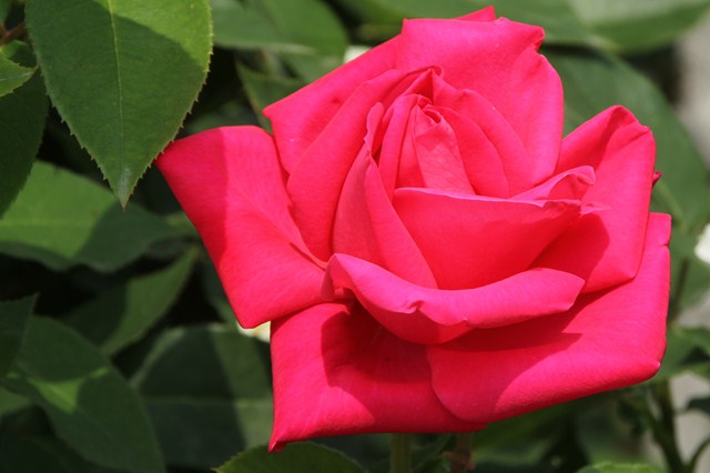b0242358_22405658.jpg