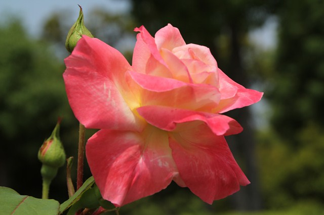 b0242358_22414154.jpg