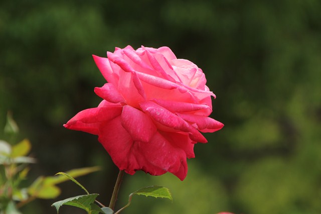 b0242358_22421888.jpg