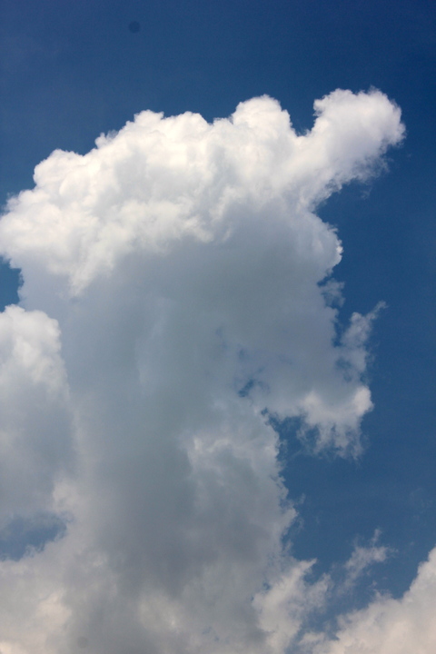 a0248459_1650291.jpg