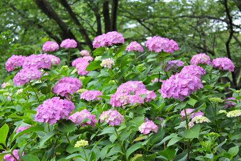 a0248459_3324345.jpg