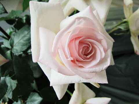 c0042960_1219216.jpg