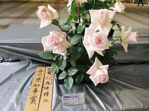 c0042960_12193997.jpg