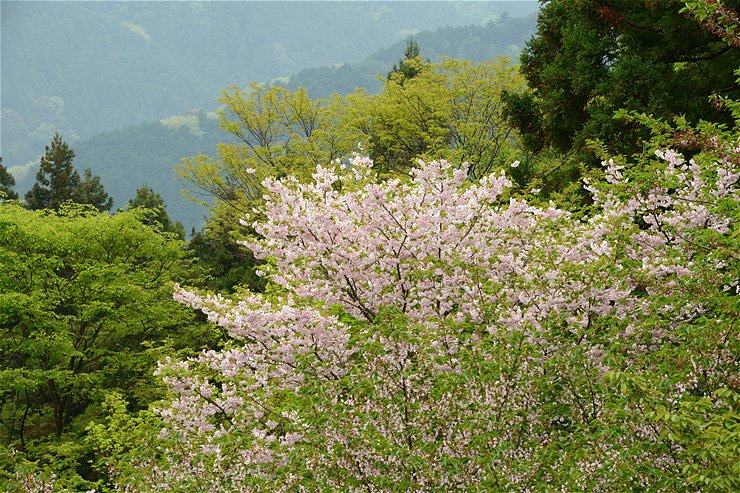 f0222161_14433682.jpg