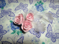 e0209364_24812.gif