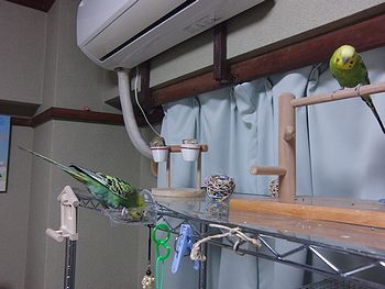 f0196665_2302443.jpg