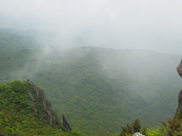 c0042869_20342110.jpg