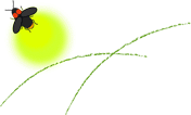 d0175974_2057435.gif