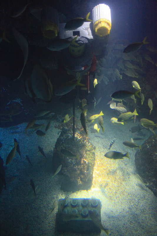 c0187779_6525630.jpg