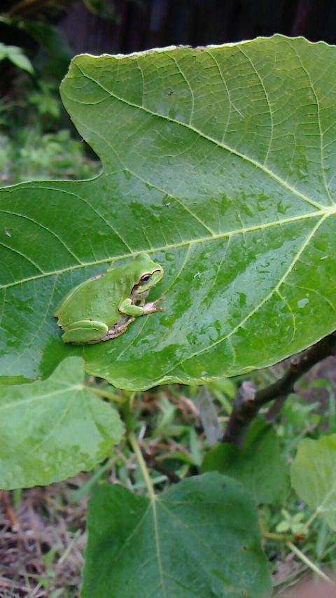 f0215179_3304512.jpg