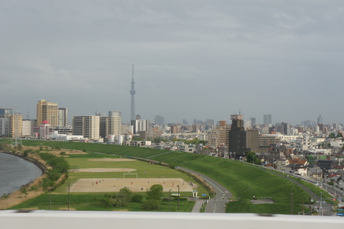 d0065484_12813.jpg