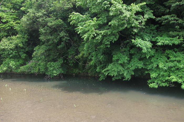 b0171185_22401396.jpg