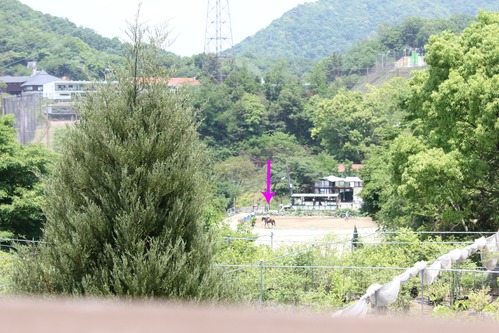 a0234491_0242864.jpg