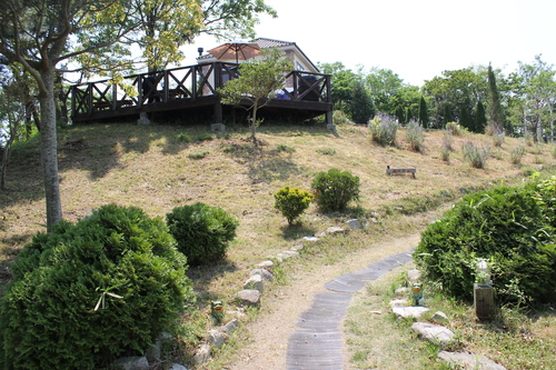 a0234491_0823.jpg