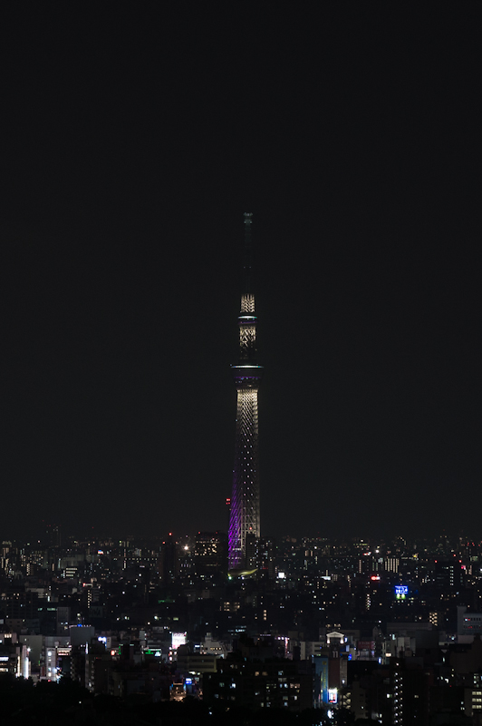 a0185693_5341393.jpg