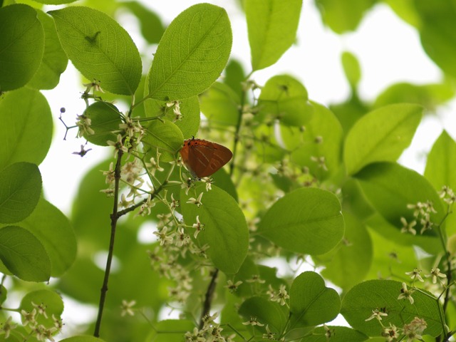 b0194593_850395.jpg