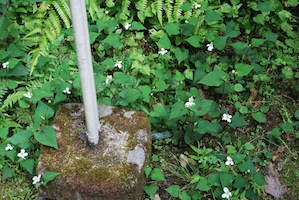 c0189894_1444352.jpg