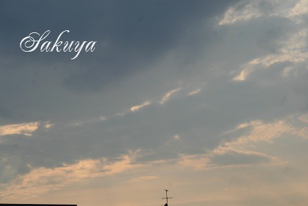 e0122194_2339721.jpg