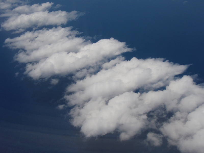 b0039898_1894957.jpg