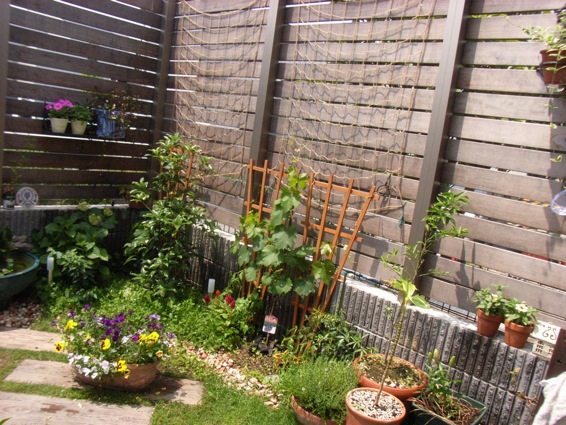 a0200299_1125987.jpg