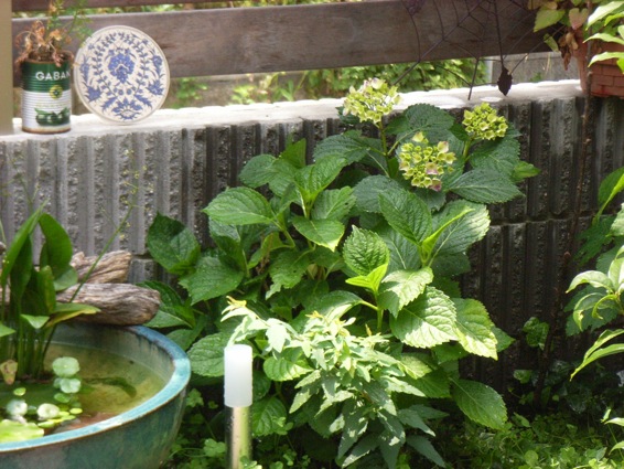 a0200299_11372915.jpg