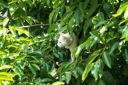 f0239100_22363164.jpg
