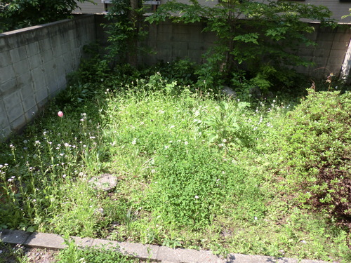 e0242504_19101926.jpg