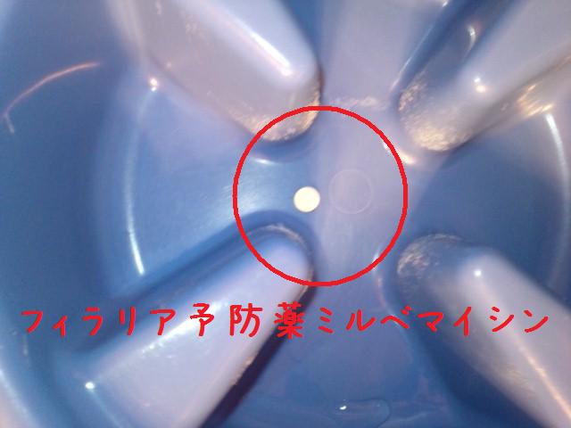 e0246708_10213564.jpg