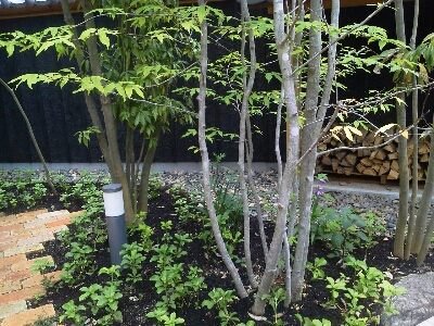 c0207810_2274881.jpg