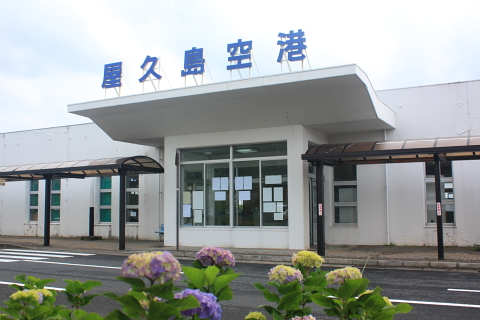 d0077811_21373366.jpg