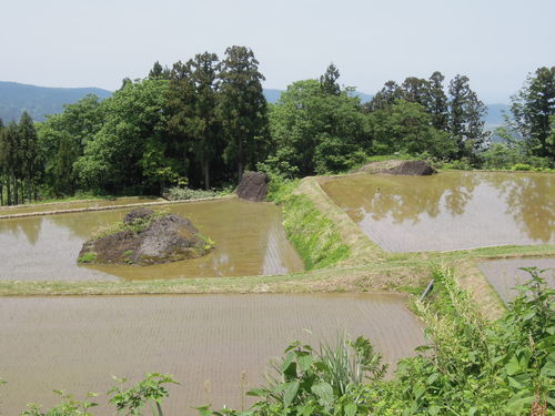 e0147226_10532953.jpg