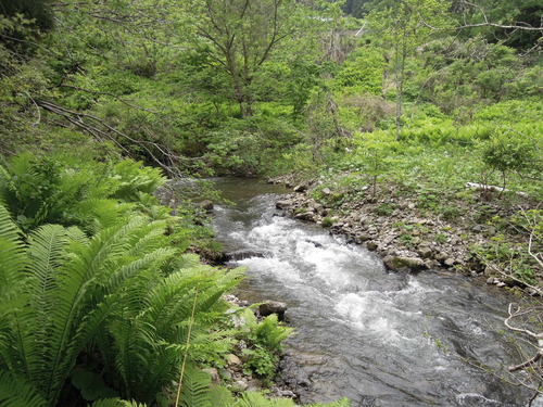 e0147226_105431.jpg