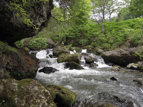 e0147226_10545438.jpg