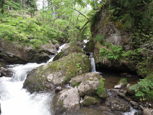 e0147226_10552340.jpg