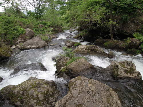 e0147226_10561613.jpg