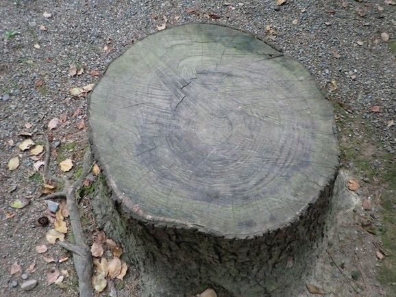 b0197735_143389.jpg