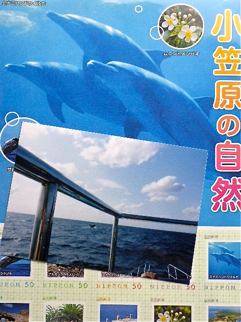b0027736_13435215.jpg