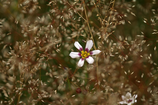 a0242438_18441358.jpg