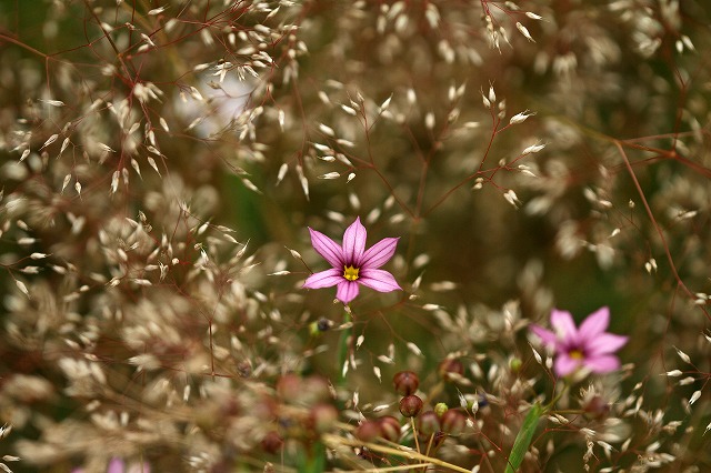 a0242438_18441838.jpg